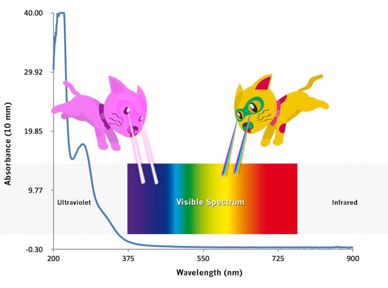 UV Vis Spectrophotometer | How UV/Vis Spectrophotometer Works | Implen