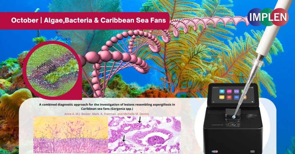 algea-bacteria-caribbean-sea-fans-UV-Vis-nano-spectrophotometer-journal-club2