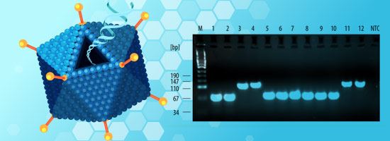 implen nanophotometer UV/Vis spectrophotometer scientific research application protein UV quantification RNA concentration DNA concentration