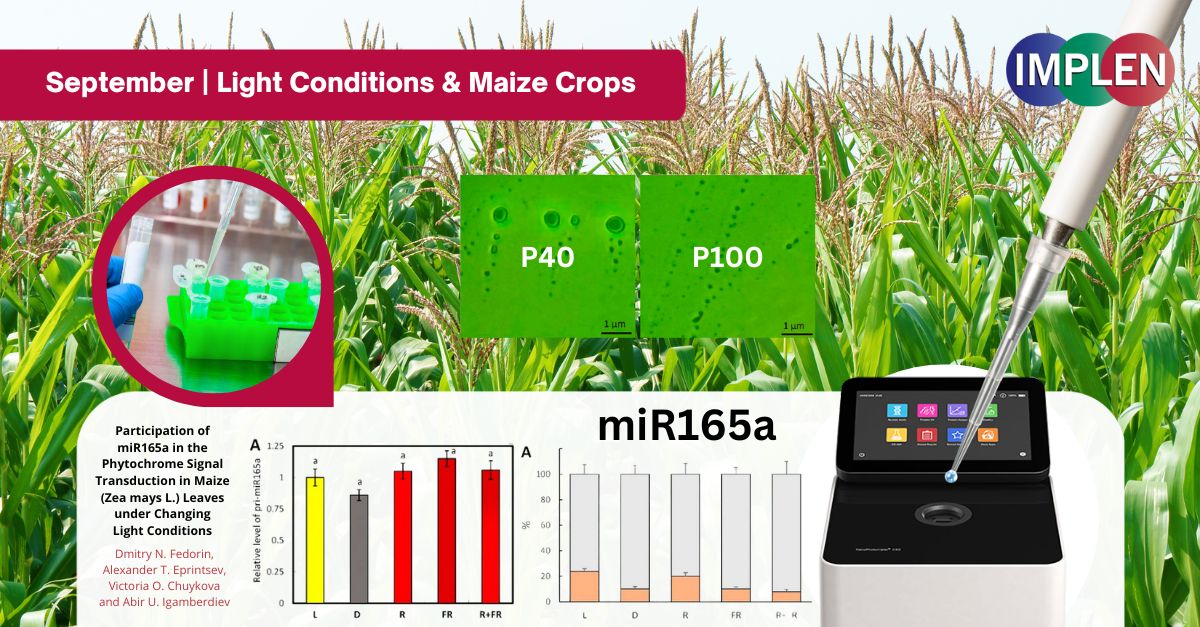 light-conditions-maize-crops-UV-Vis-nano-spectrophotometer-journal-club